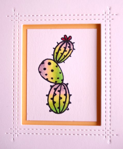 bloom cactus close up