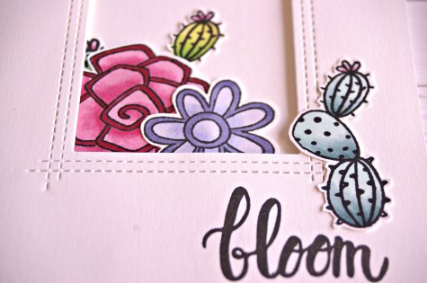 bloom flowers closeup